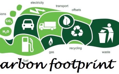 REDUCING YOUR CARBON FOOTPRINT