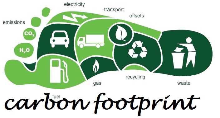 REDUCING YOUR CARBON FOOTPRINT