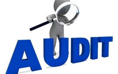 ENVIRONMENT, SOCIAL, AND GOVERNANCE  (ESG) REPORTS. WHAT IS AN ESG AUDIT CHECKLIST?