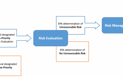 REVIEW PROCESS FOR PROHIBITED TARGETED CHEMICALS